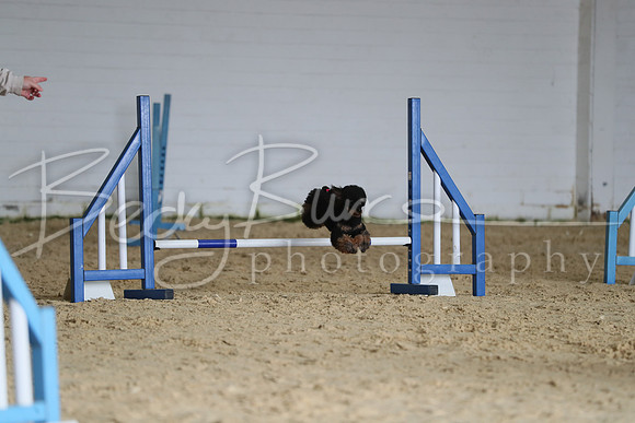 FA1_0558