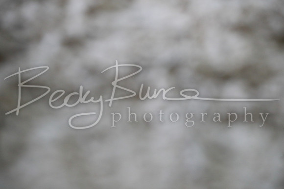 TBP_0351