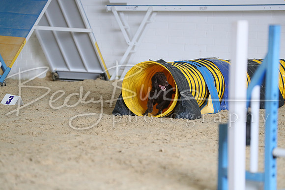 FA1_0436