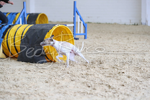 FA1_1547