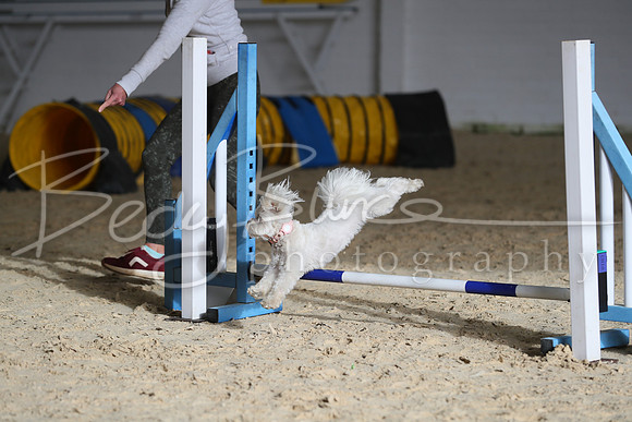 FA1_0074