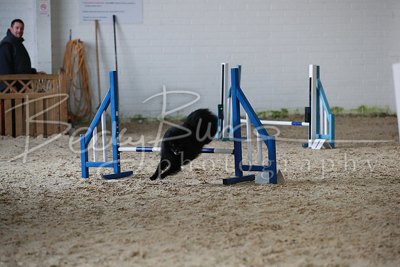 TBP_0219