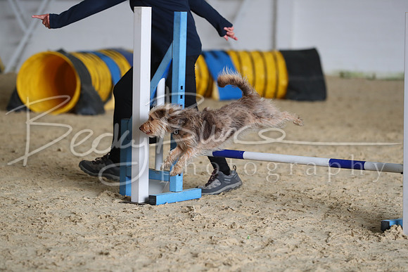 FA1_0247