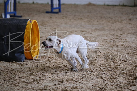 FA2_2098