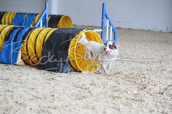 FA1_0834