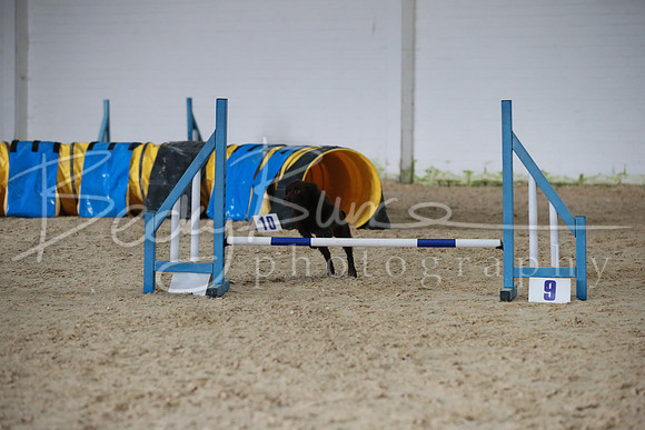 TBP_0334