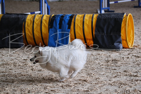 FA2_0299