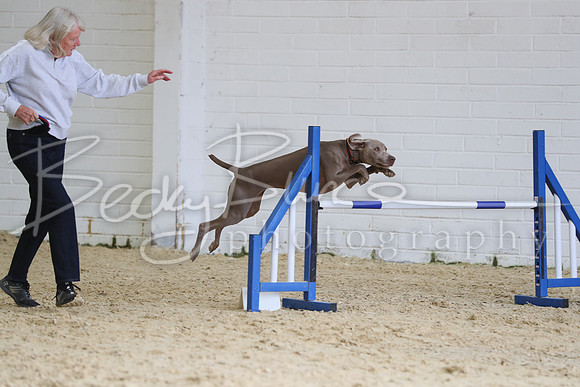 FA1_2329