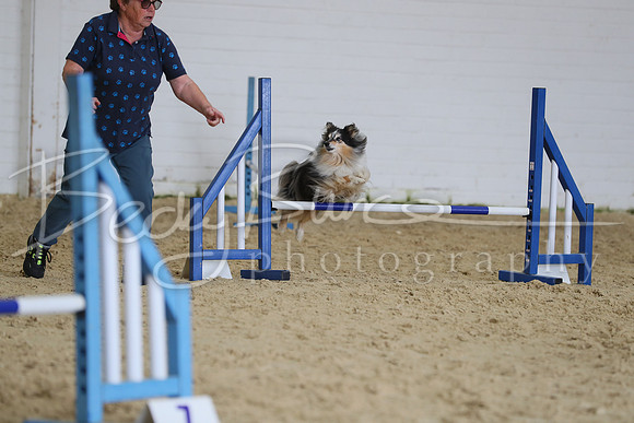 FA1_1646