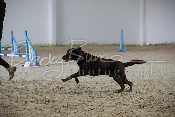 TBP_0166