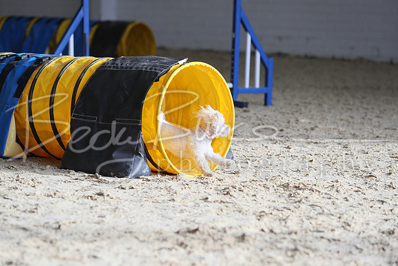 FA1_0087