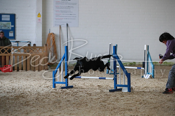 TBP_0234