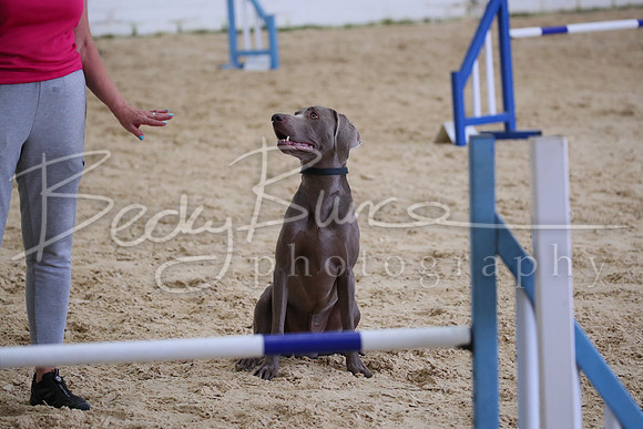 FA2_3231