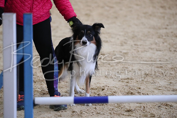 FA2_2349