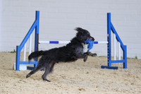 03-10 - Fidos Steeplechase Show