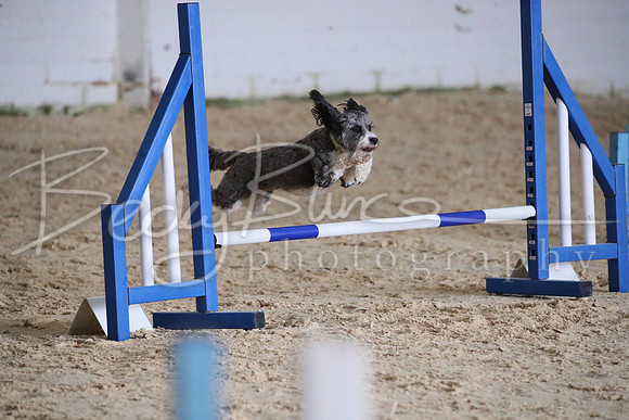 FA2_0365