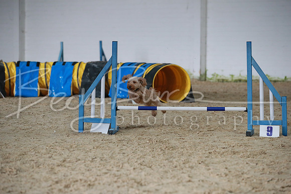 TBP_0285