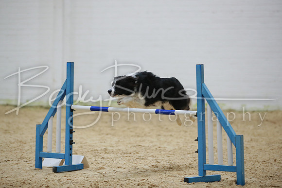 BBP_2895