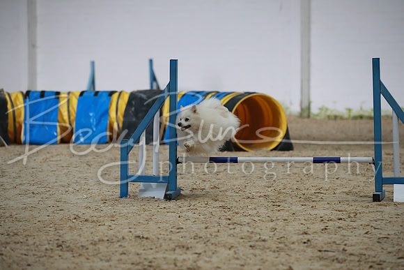 TBP_0199