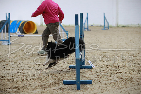 TBP_0018