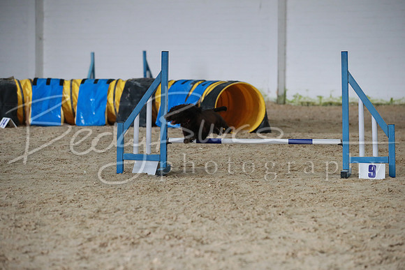 TBP_0336