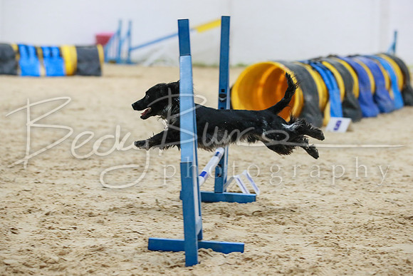 BBP_3269