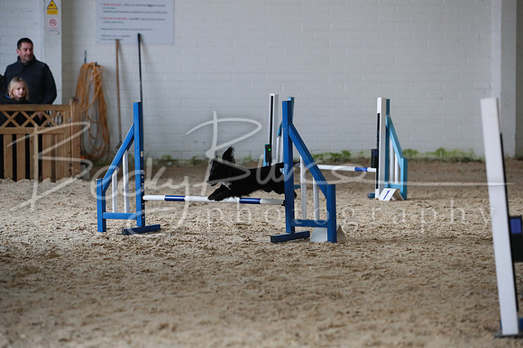 TBP_0252
