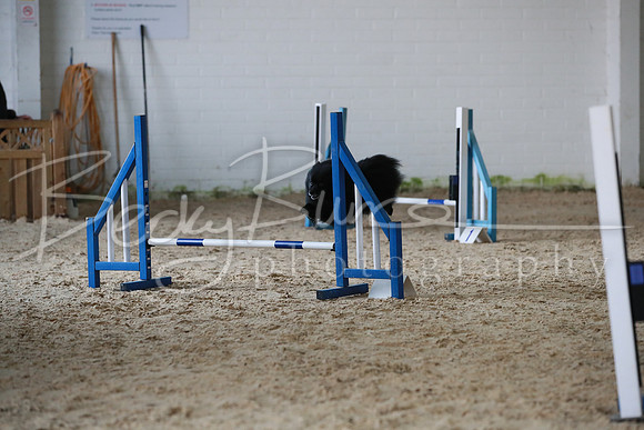 TBP_0217