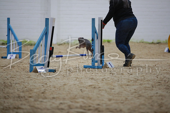 BBP_1035