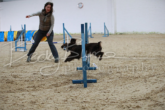 TBP_0066