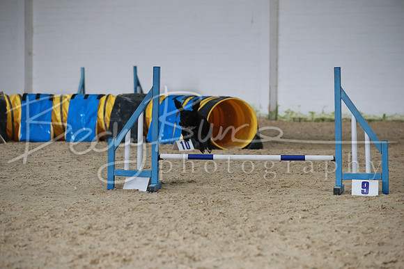 TBP_0256