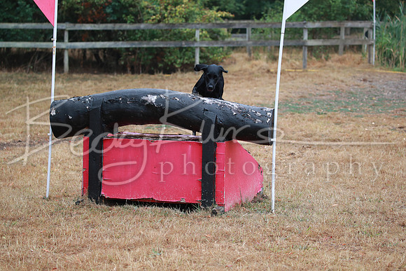 BBP_0963