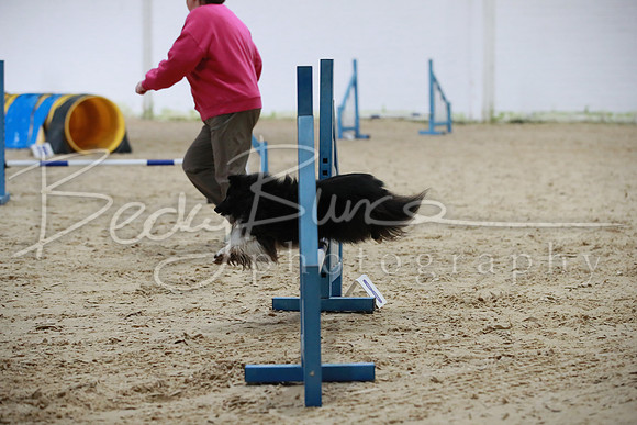 TBP_0017