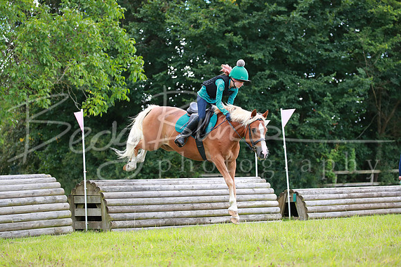 BBP_0675