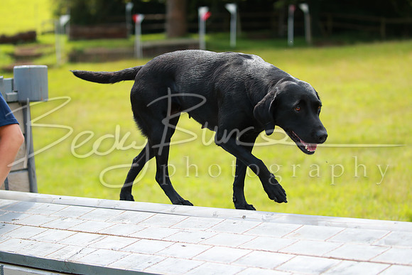 BBP_0010