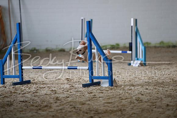 TBP_0123
