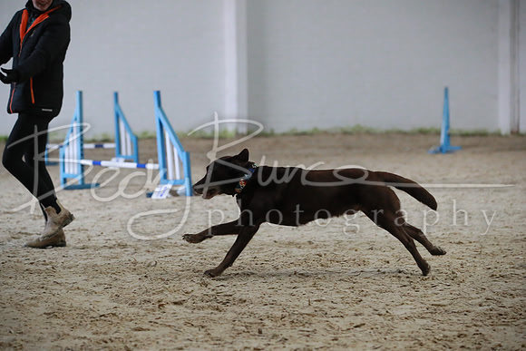 TBP_0167