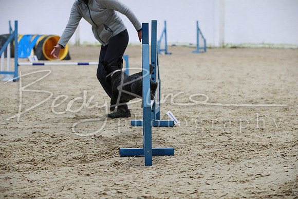 TBP_0136