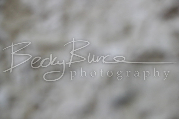 TBP_0228