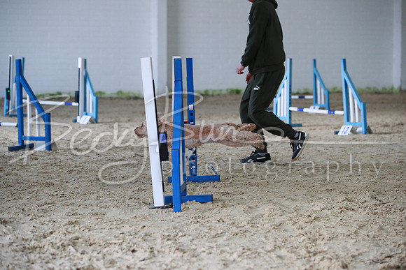 TBP_0290