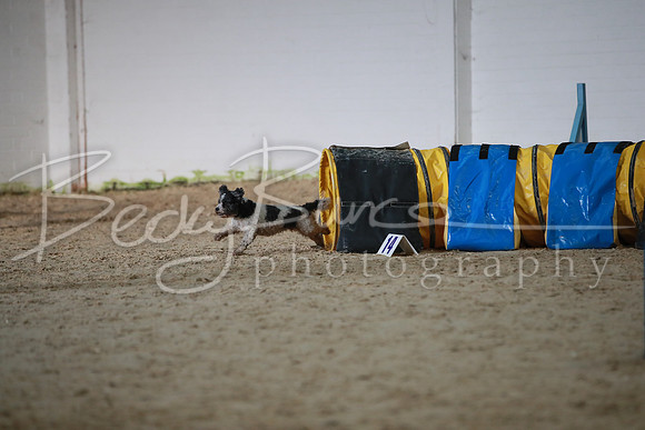 TBP_0044
