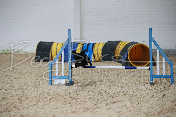 TBP_0239