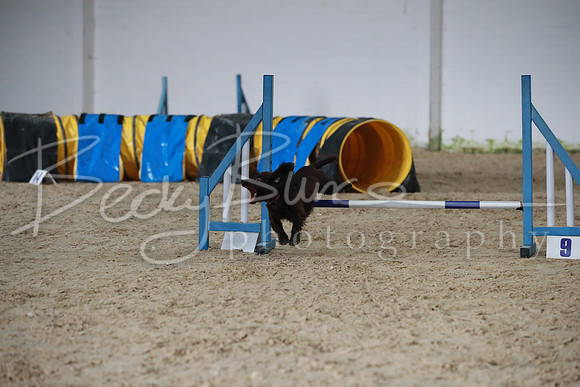 TBP_0337