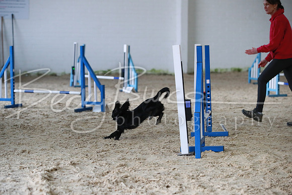 TBP_0262