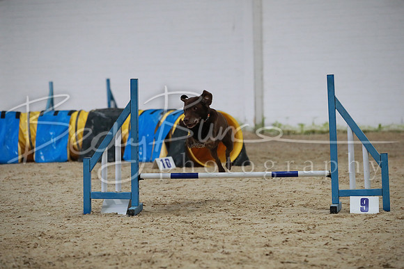 TBP_0164