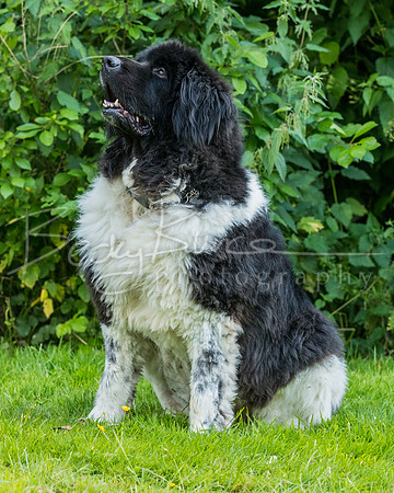 BBP_1398