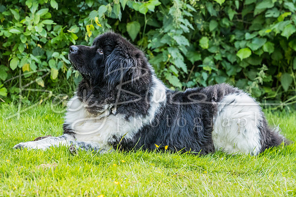 BBP_1405