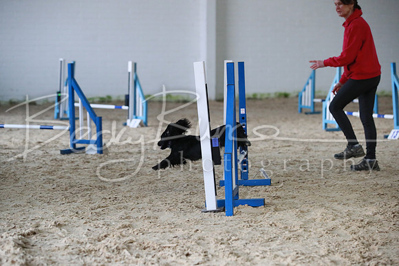 TBP_0261