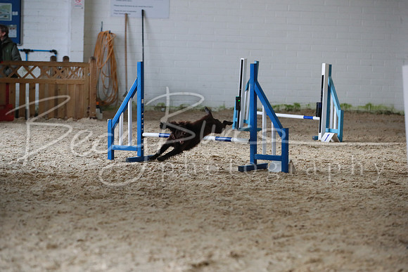 TBP_0331