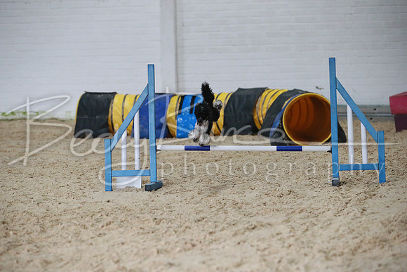 TBP_0297